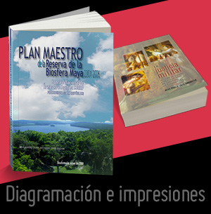 impresiones de material de publicidad